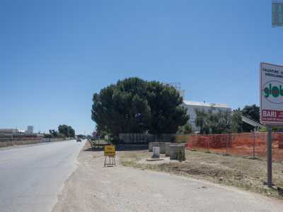 ...che costeggiano la provinciale 231 che collega Modugno a Bitonto